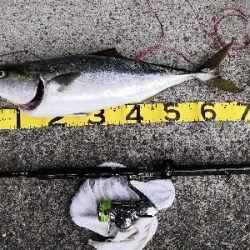 ラストの1投でメジロ