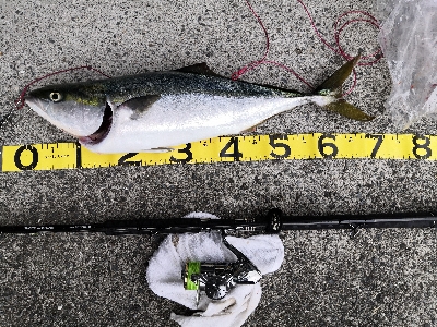 ラストの1投でメジロ