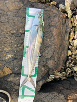 意外な奴が、、、