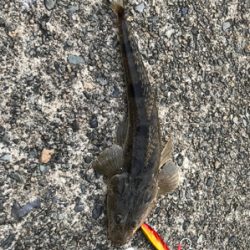 17時からの1時間