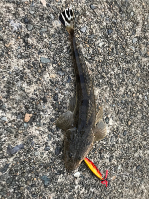 17時からの1時間