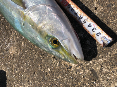 呪縛からの解放