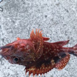 バイトはいたけど