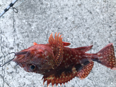 バイトはいたけど