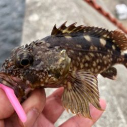 お月様と大潮には勝てない?