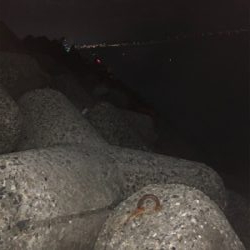 貝塚人工島テトラで太刀魚1匹