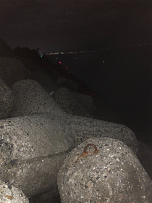 貝塚人工島テトラで太刀魚1匹