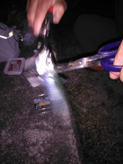 サバゲーを交わしてはぐれ太刀魚