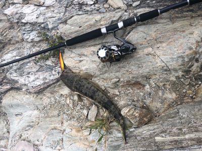 ショアジギング