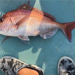 なかなか調子がいいですね