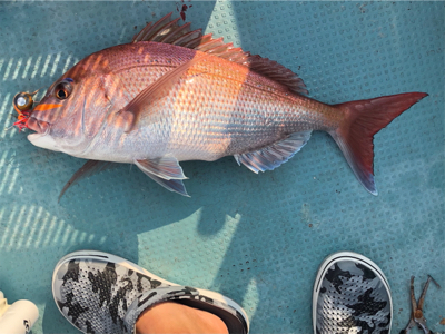なかなか調子がいいですね