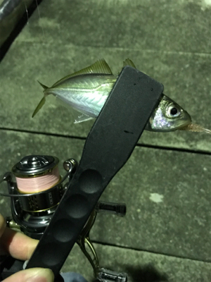 朝マズメアジング