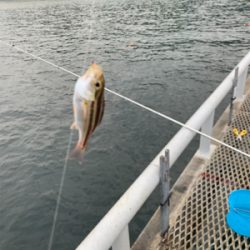 初とっとパーク