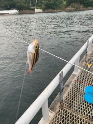 初とっとパーク