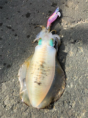 あきらめムードから一転❗&#…