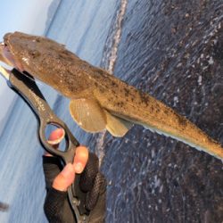 納得サイズかな。