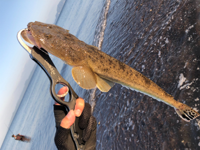 納得サイズかな。