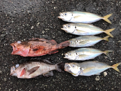 渋かった(　ﾟдﾟ)