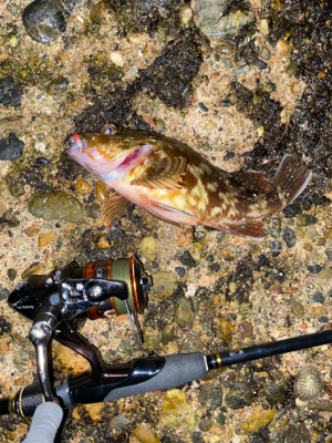 またオマエか！