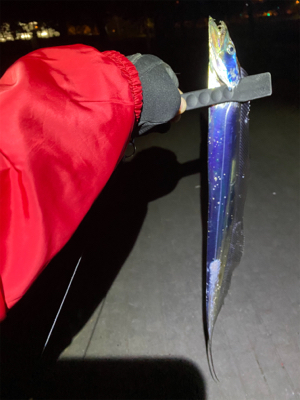 初めて釣れたポン