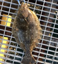 開始から11時間後に!!