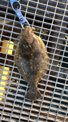 開始から11時間後に!!