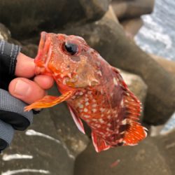 ライトロックゲーム