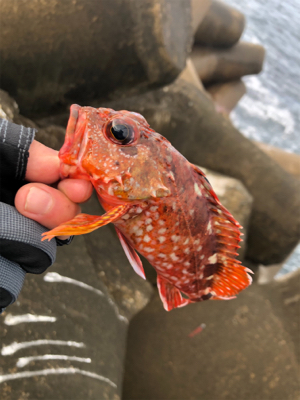 ライトロックゲーム