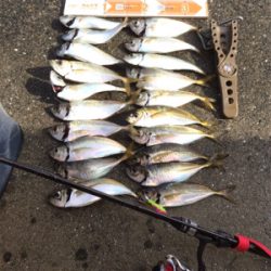 台風一過も絶好調