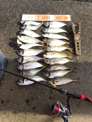 台風一過も絶好調