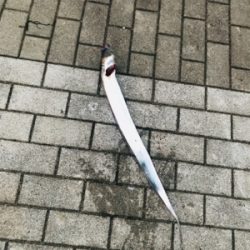 コスモスクエア釣果