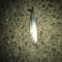 やっと俺のターン