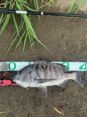 仕事帰りに(°▽°)