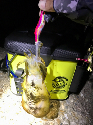 やっぱりエギング楽しい♪＼(^o^)／