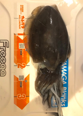 初ティップラン