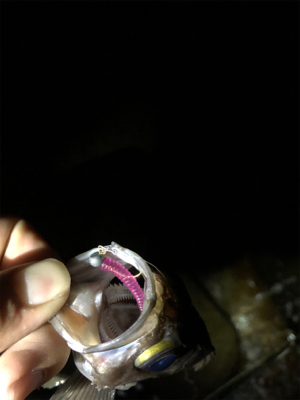 ちょこっとだけ。