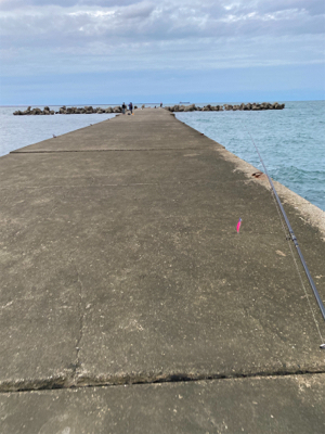 夕まずめエギング