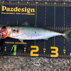 大混雑の武庫川一文字へ