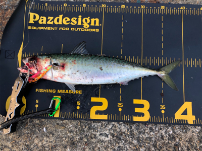 大混雑の武庫川一文字へ