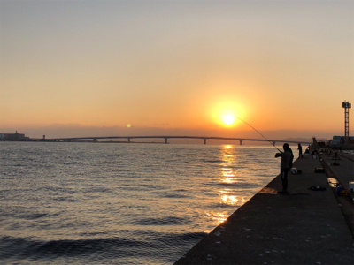 初タチウオ、おまけはアコウさん