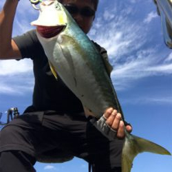 コスモスクエア釣果