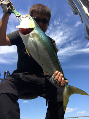 コスモスクエア釣果