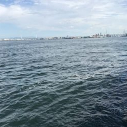 ヒットカラーはアカキン