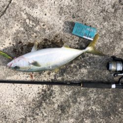 ヒットパターン