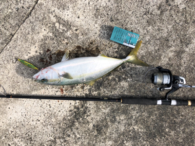 ヒットパターン