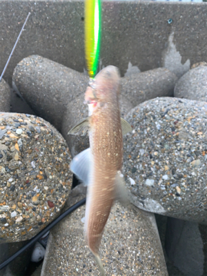 え！そう‼︎②