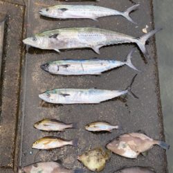 マイボートでナブラ撃ち