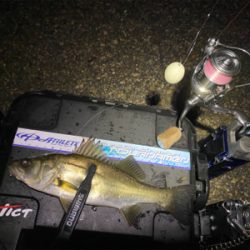 想像以上に寒いライトゲーム