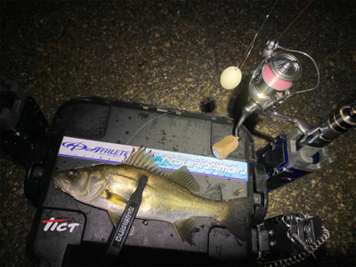 想像以上に寒いライトゲーム