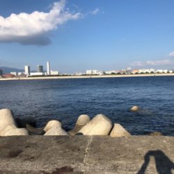 バラシた獲物はでかかった?